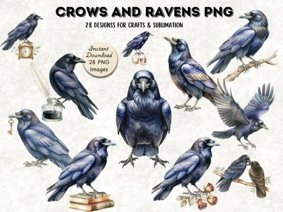 Download Crows and Ravens Gothic PNG Bundle - Gothic png Collection