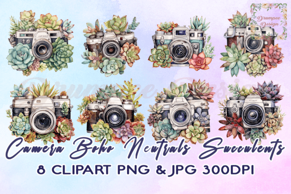Download Camera Boho Neutrals Succulents Clipart - Premium Resources